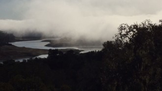 Recent Paso Robles Rainfall