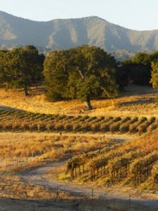 atascadero wine raffle