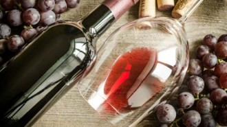 best-pinot-noir-wines-paso-robles
