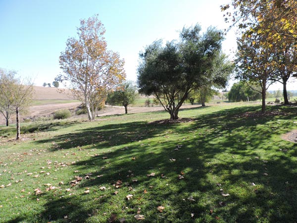 lot where the pools will be