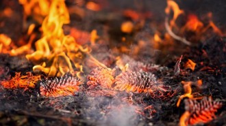 prescribed burn SLO county