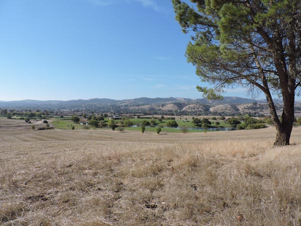 A view of the lot for the part of the expansion that will back up to the existing golf course.