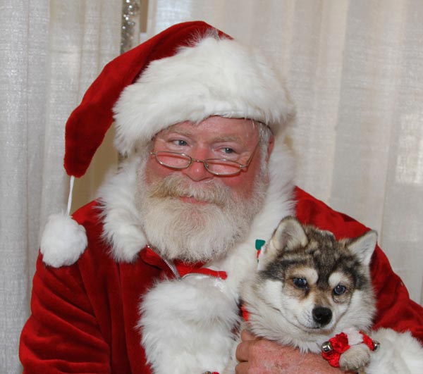 Holiday open house woods