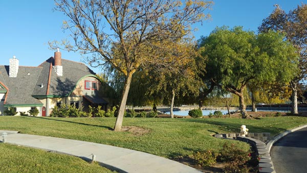 San Marcos Creek Vineyard