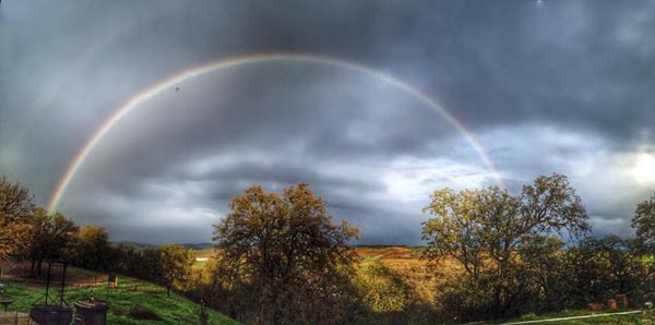 Photo by Trisha Butcher.