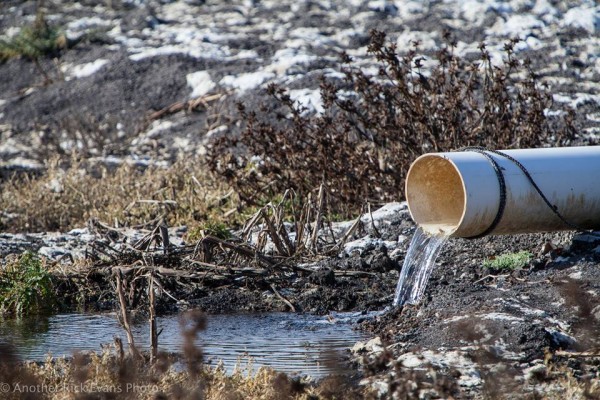 Water is now trickling into the dry lake from the lake fill pipelines. Photo by Rick Evans.