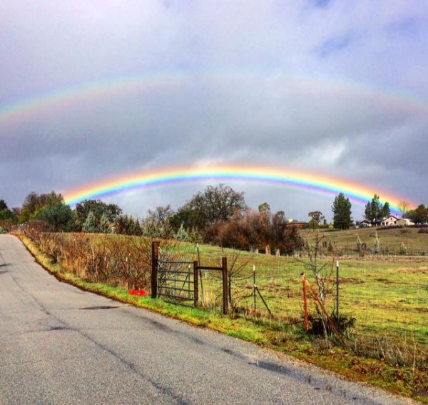 Paso Robles rain