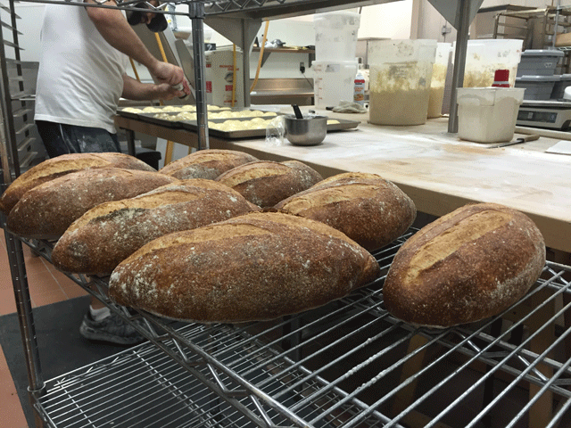Back Porch Bakery Carlton Hotel Atascadero