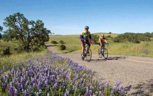 Tour of Paso, Cancer Support Community, California Central Coast, Niner Wine Estates