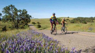 wildflower bike ride