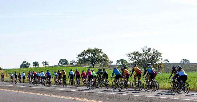 Tour of Paso, Cancer Support Community, California Central Coast, Niner Wine Estates