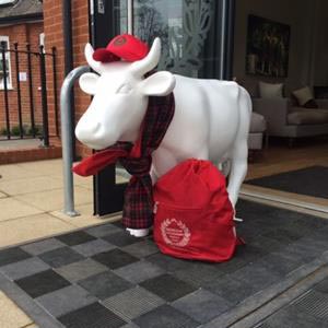 Cow parade