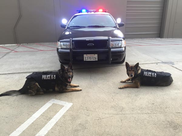 K-9 Body Armor