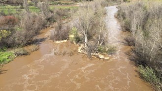 Paso Robles Rainfall totals