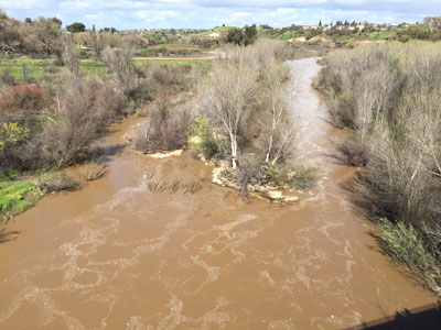 Paso Robles Rainfall totals