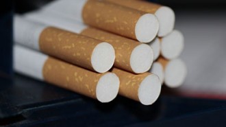 tobacco sting