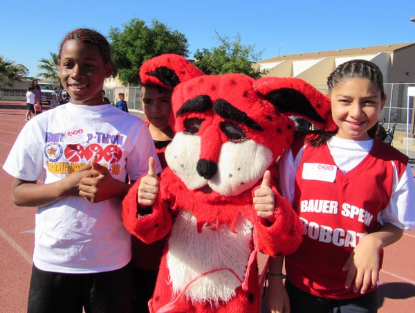 Bauer Speck Bobcat with Friends