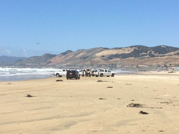 Body washed ashore Pismo Beach