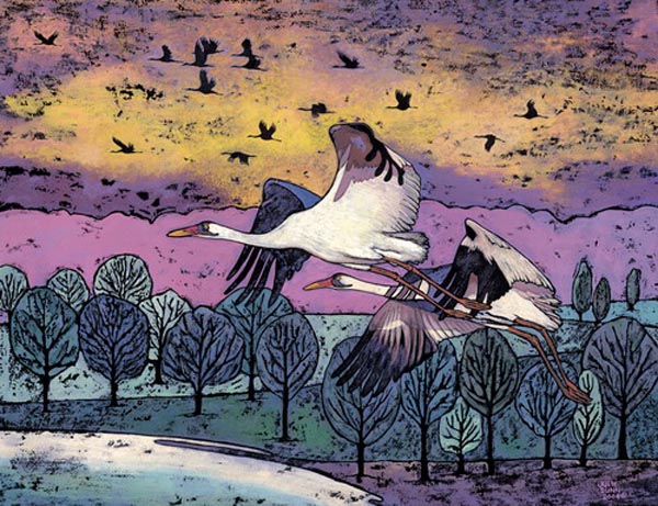 Julie DunnWhooping Cranes