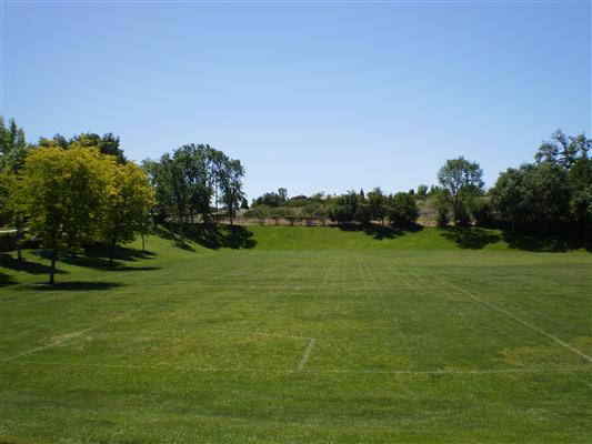 Tom Jermin, Sr. Park Templeton