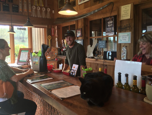 Screen Shot 2016-04-01 at 10.57.36 AM