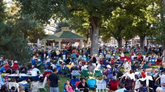 Concerts in the park