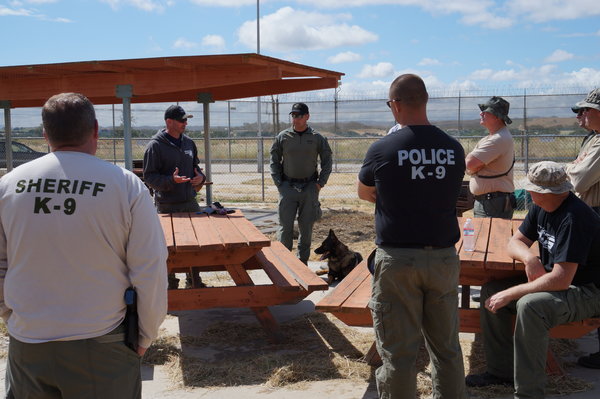 K9 Training