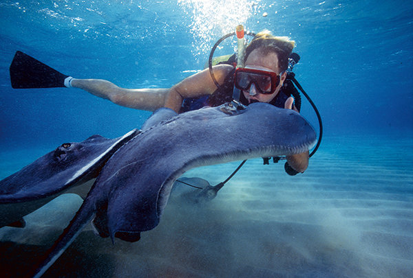 Dale Evers underwater photograpy