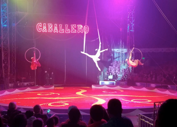 Circus paso robles