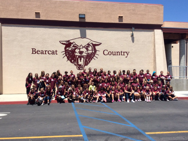 Battle of the books