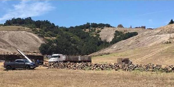 Those trucks full of oak logs have been leaving there 5 loads a day for the last month. It's heartbreaking.