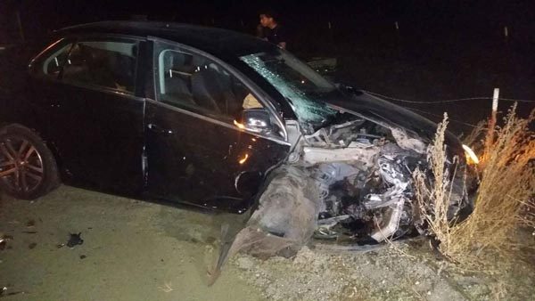 Man collides with oak tree