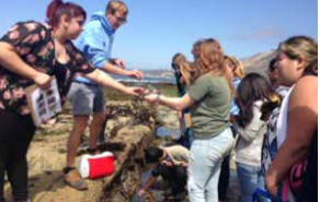 Liberty High Students Explore Tide Pools