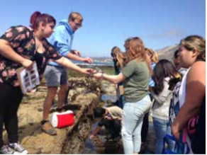 Liberty High Students Explore Tide Pools