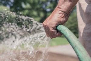 Watering-mandate-300x200-300x200