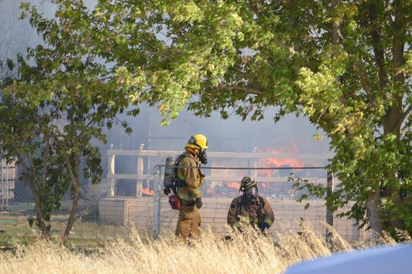 Photo courtesy of Trisha Butcher.