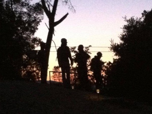 Night Zipline Tours