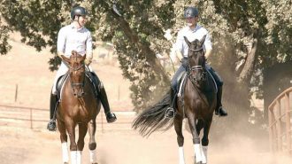 Paso Robles Dressage Summer Classic, Templeton Farms, Paso Robles Horse Park, Ryan Torkkeli, Thomas Walker