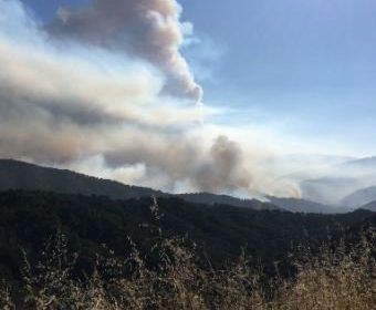 smoke in Paso Robles