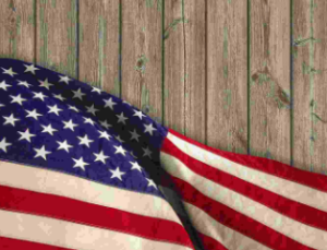 fourth of july event fort hunter ligget stock photo