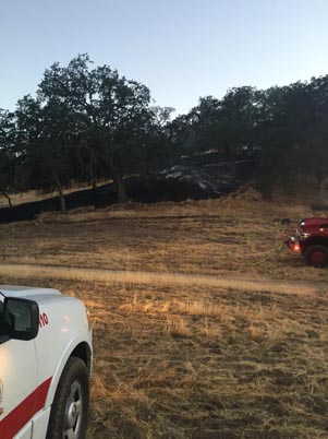 Vegetation fire Paso Robles