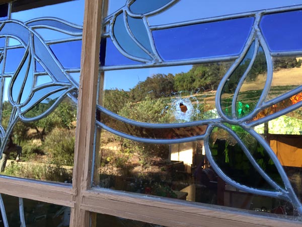 robbing at house party