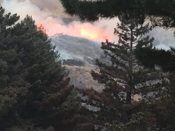 CAL-Fire-sobranos-fire
