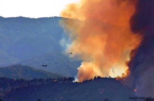 Oak Shores evacuation