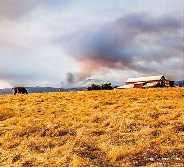 Cal fire pic