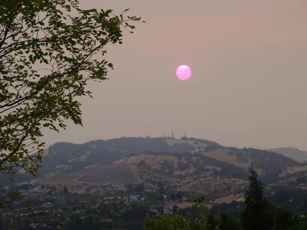 Sun setting over Paso Robles with smoke and ash filling the sky. Photo by David Bouillez.