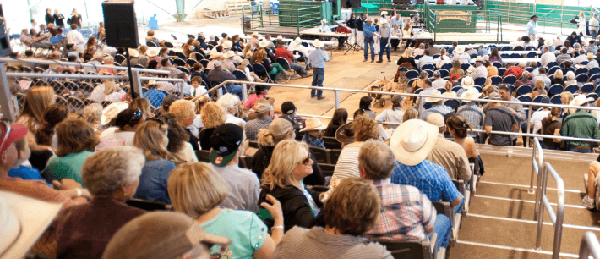 JRLivestockAuction