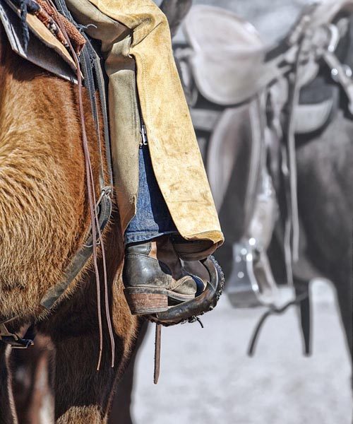 Tack swap riding warehouse