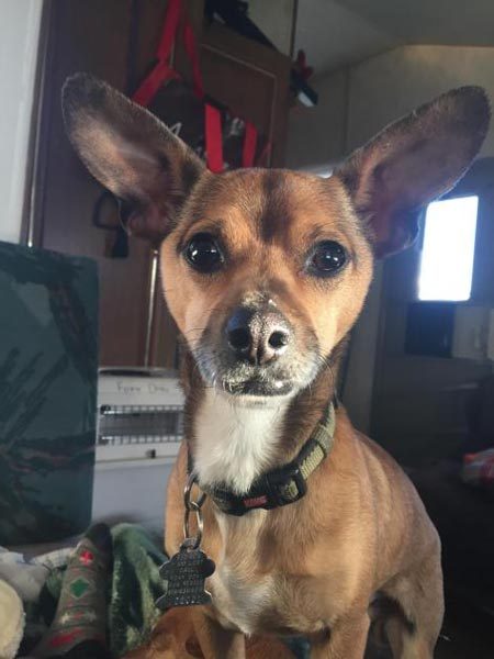 Zeek