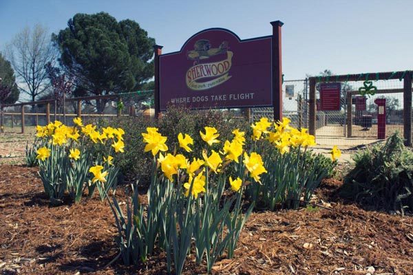 sherwood dog park